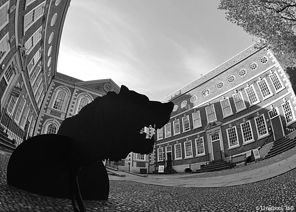 The Bluecoat Wolf