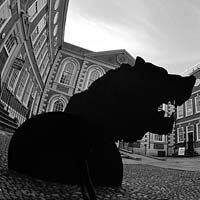 The Bluecoat Wolf