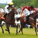 The Grand National 2010