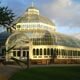 RSPB Garden Birdwatch Day